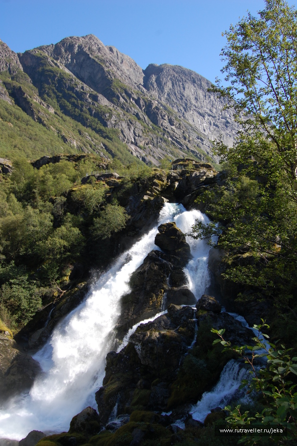 photo 584442