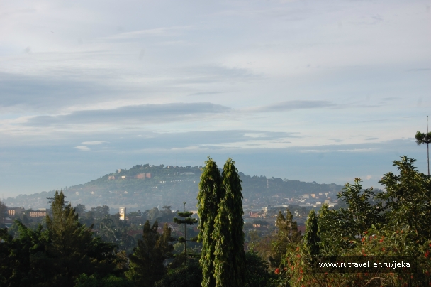 photo 767519