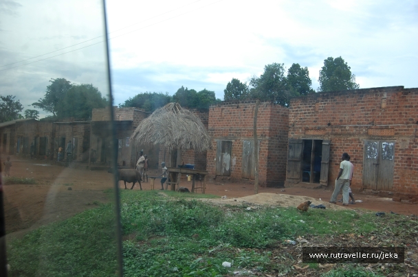 photo 767526