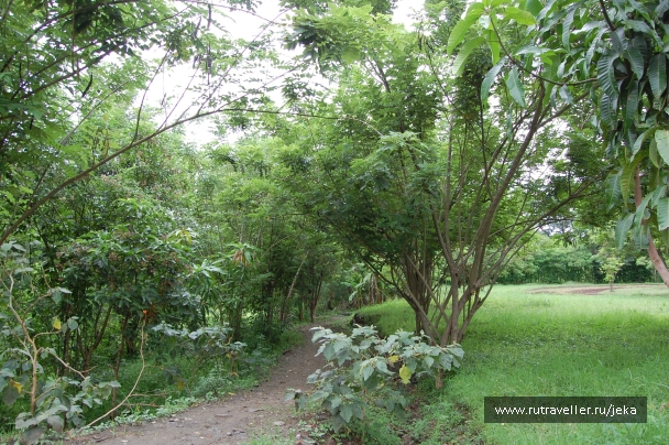 photo 767528