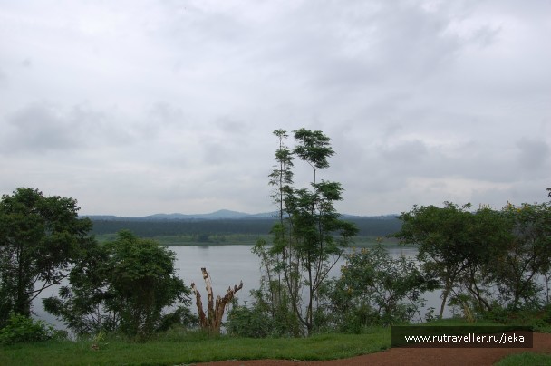 photo 767534