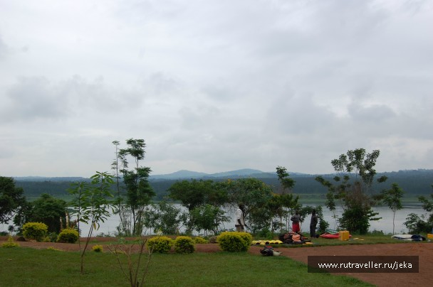 photo 767539