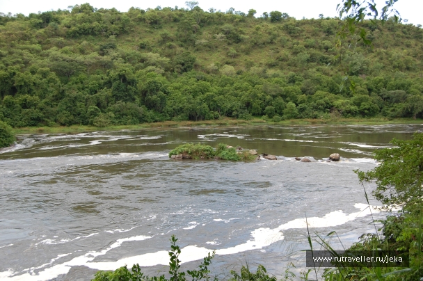 photo 767598