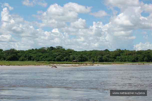 photo 767627