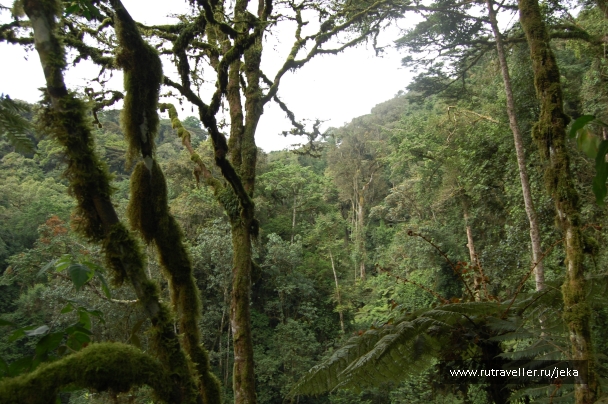 photo 767718