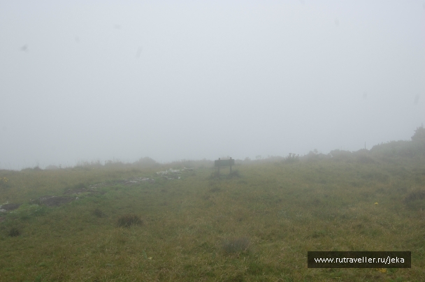 photo 767018