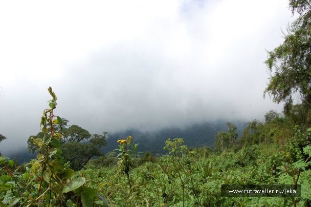 photo 767072