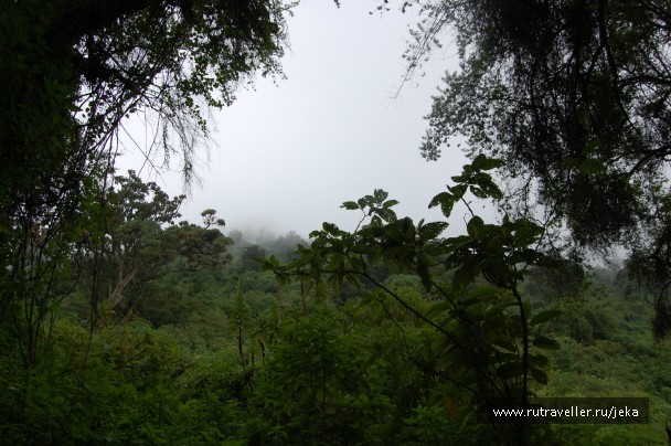 photo 767106