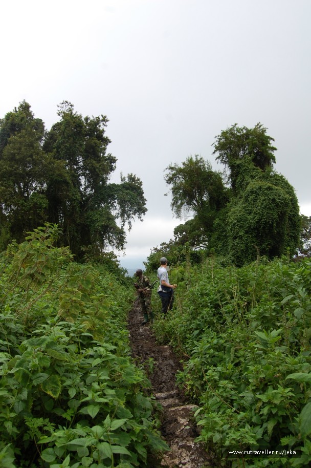 photo 767112