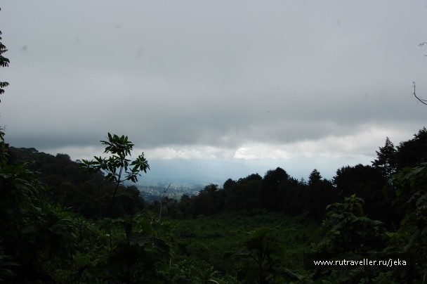 photo 767119