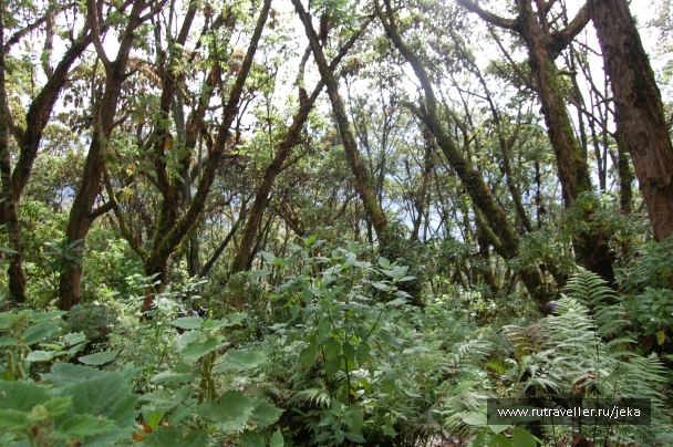 photo 767122