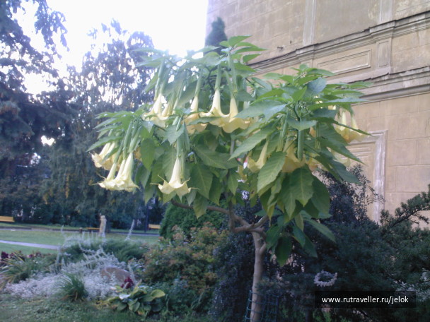 photo 37782