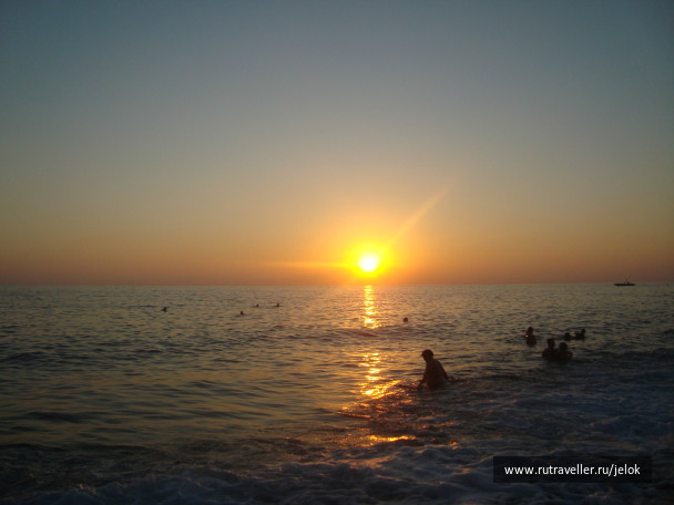 photo 37794