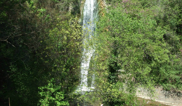 DSCF8165