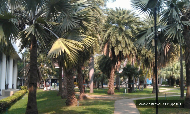 photo 722722