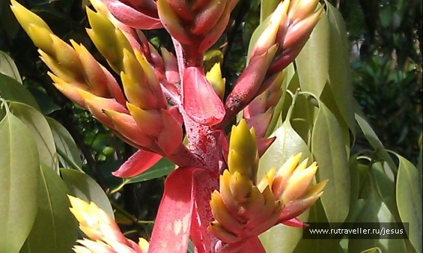photo 722724