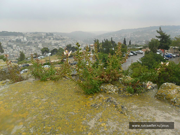 photo 728969