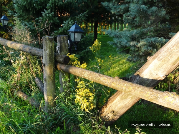 photo 858593