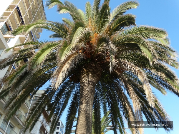 photo 872102