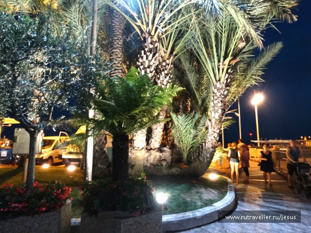 photo 873408