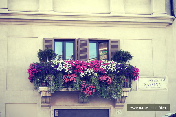 photo 243730