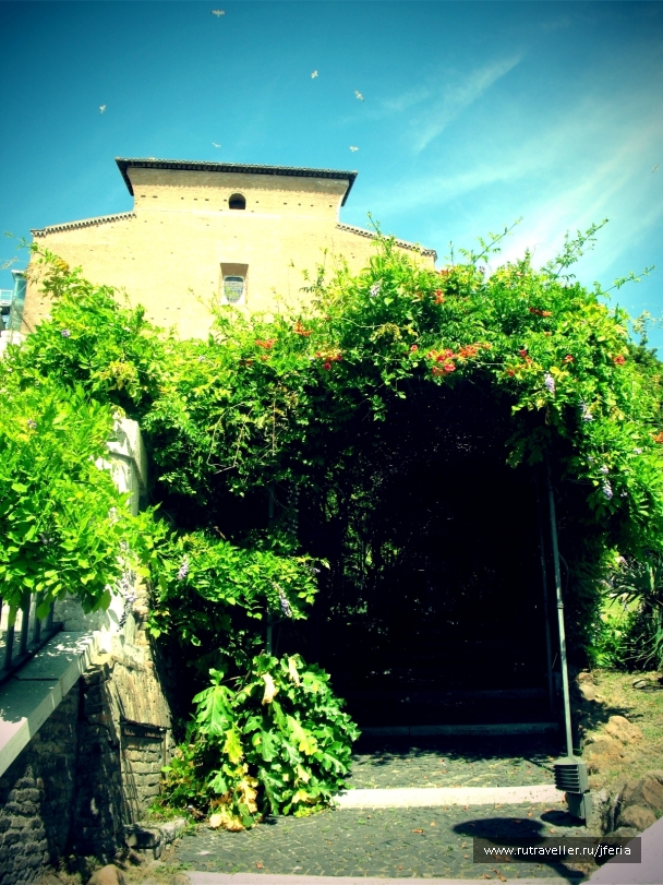 photo 244609
