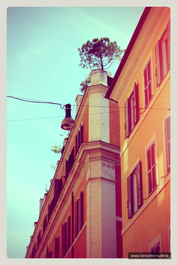 photo 244610