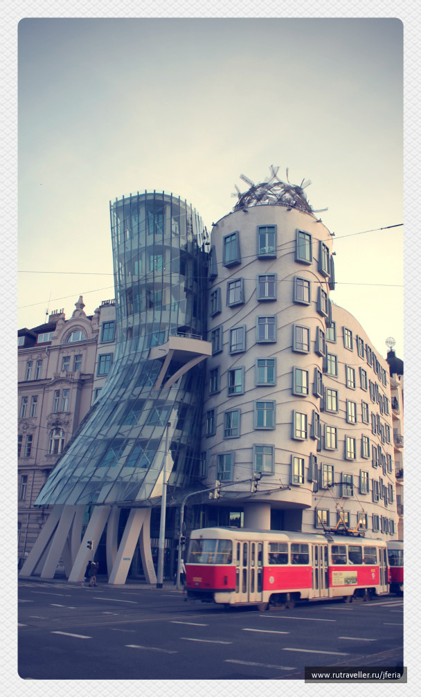 photo 243731