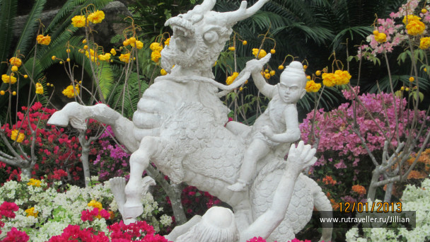 photo 249332