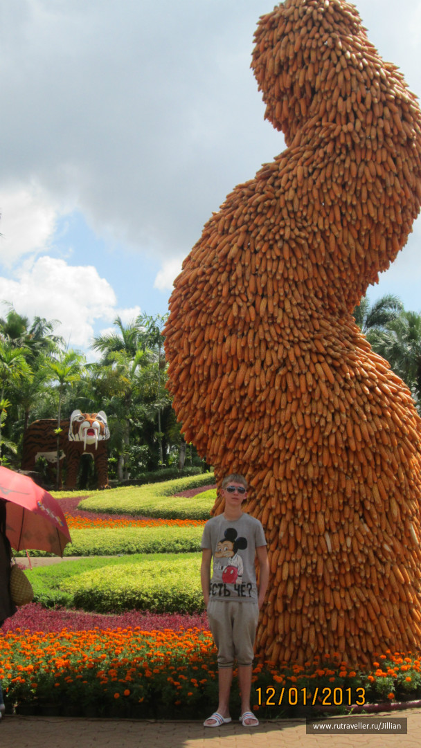 photo 249334
