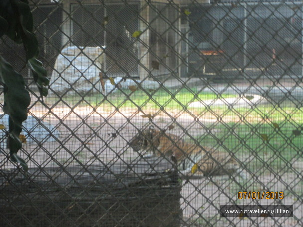 photo 249366