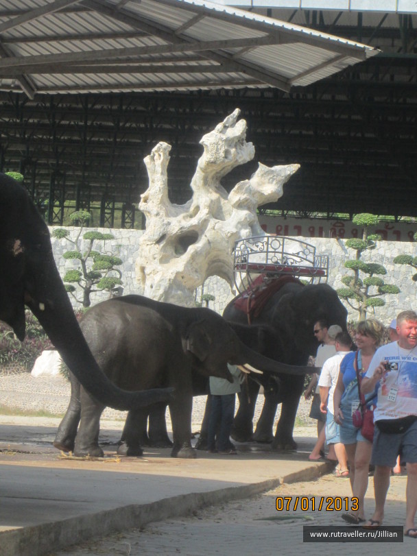 photo 249376