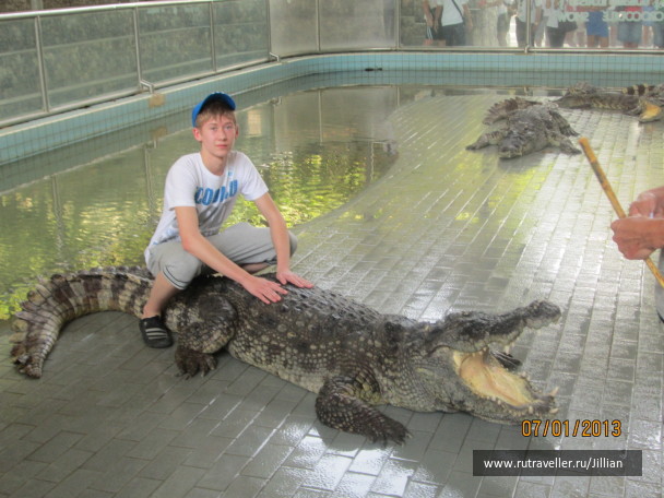 photo 249383