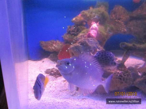 photo 249453
