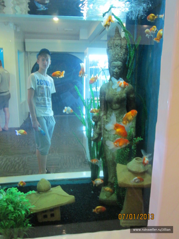 photo 249460