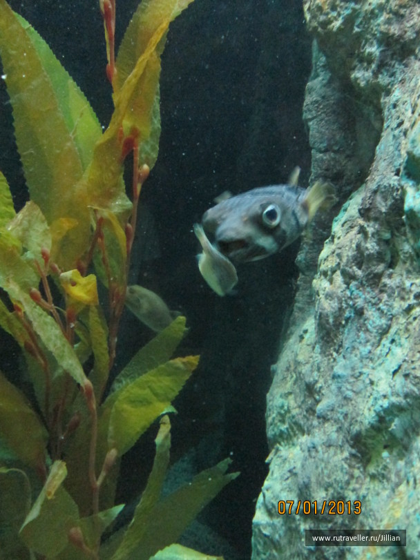 photo 249461