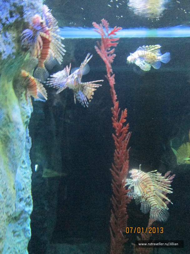 photo 249462