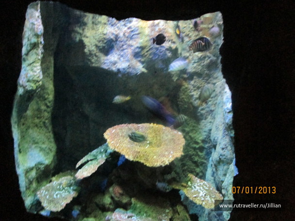 photo 249464