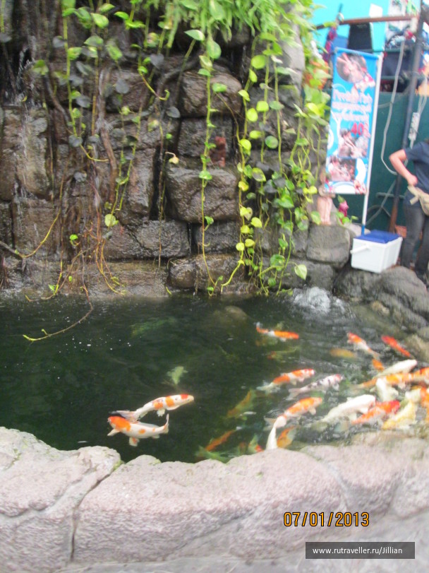 photo 249465