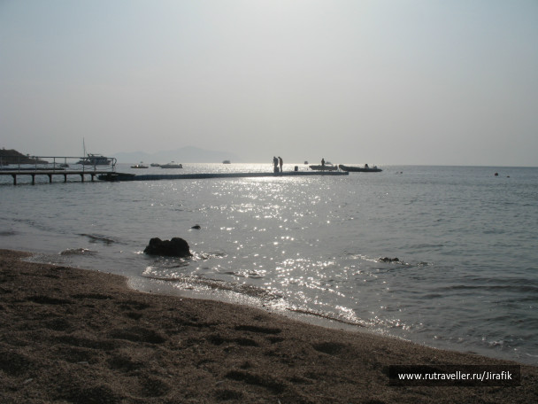 photo 126936