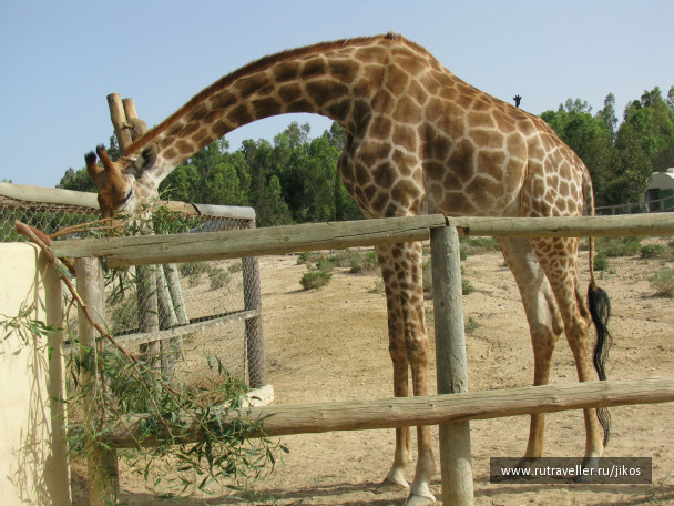 photo 303837