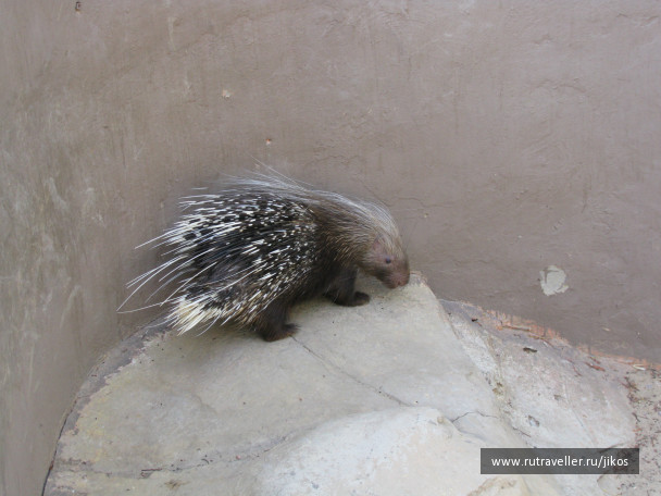 photo 303905