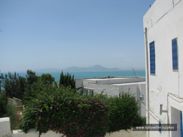photo 83761