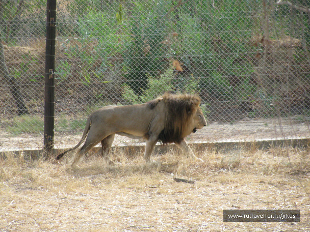 photo 84069
