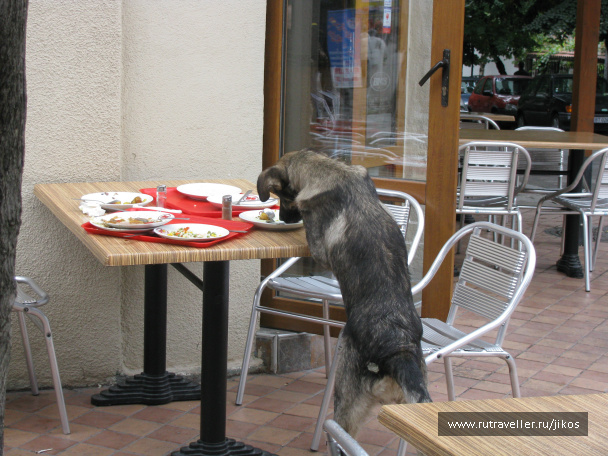 photo 83739