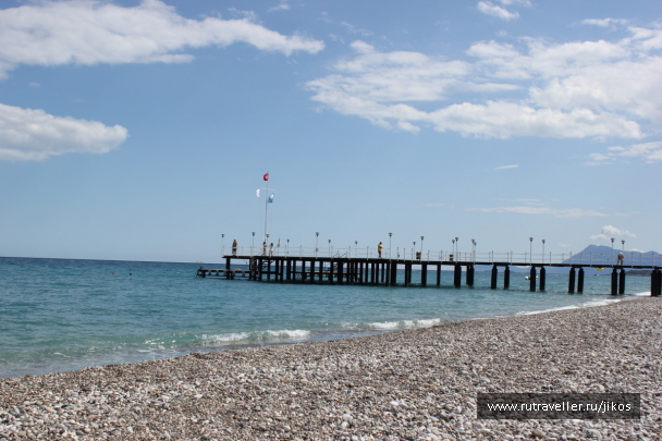 photo 99878