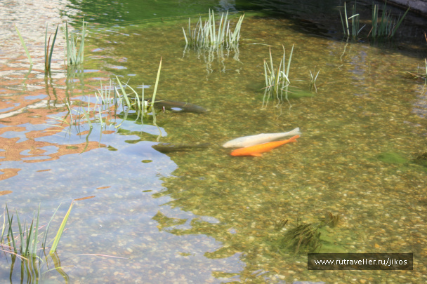 photo 307242