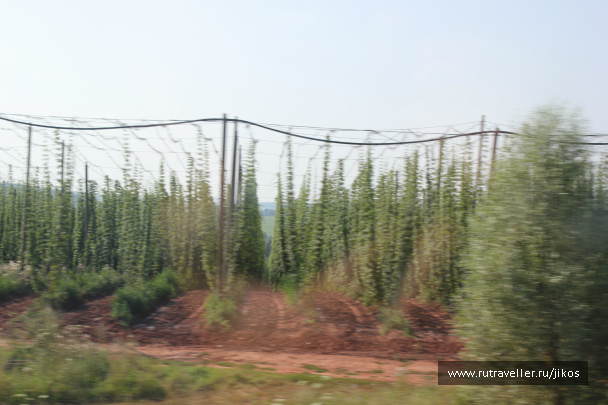 photo 309721