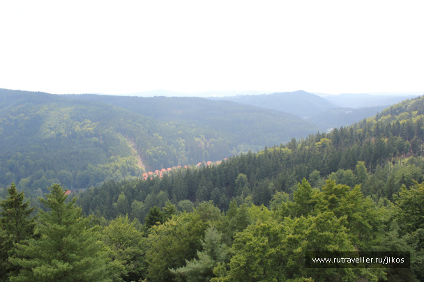 photo 310231
