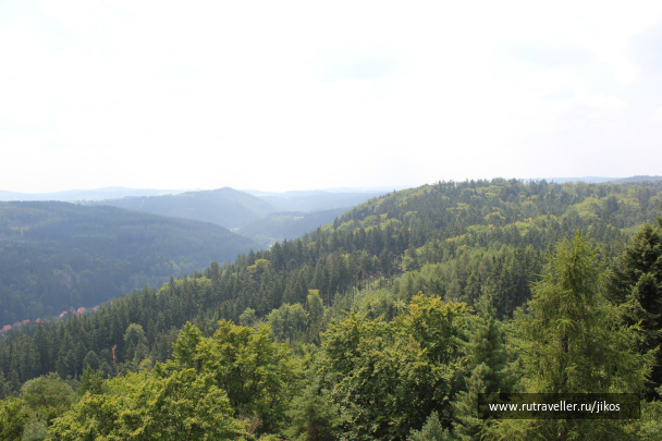 photo 310235